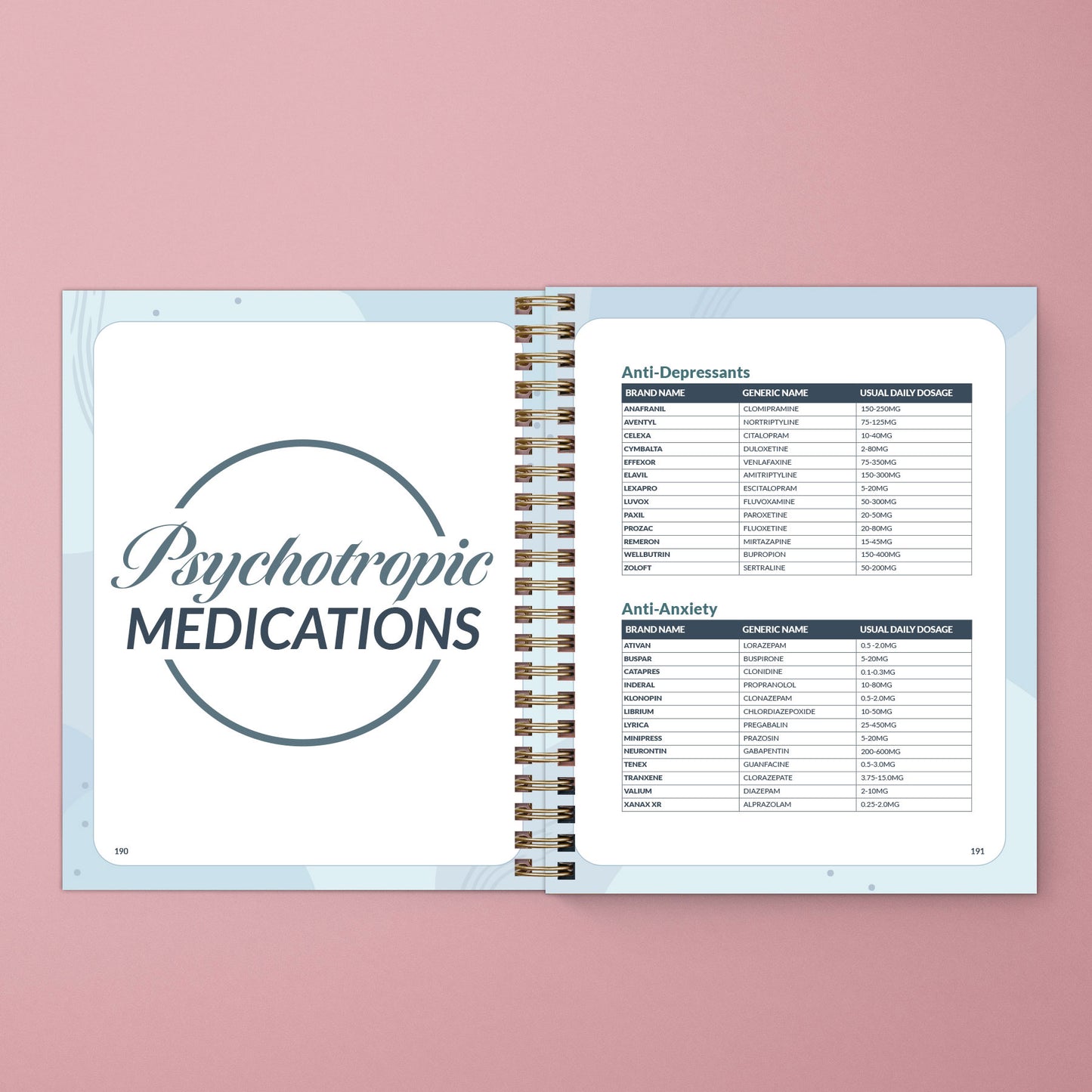 2024 Therapist Planner Multi-color (SOLD OUT; not available for restock)